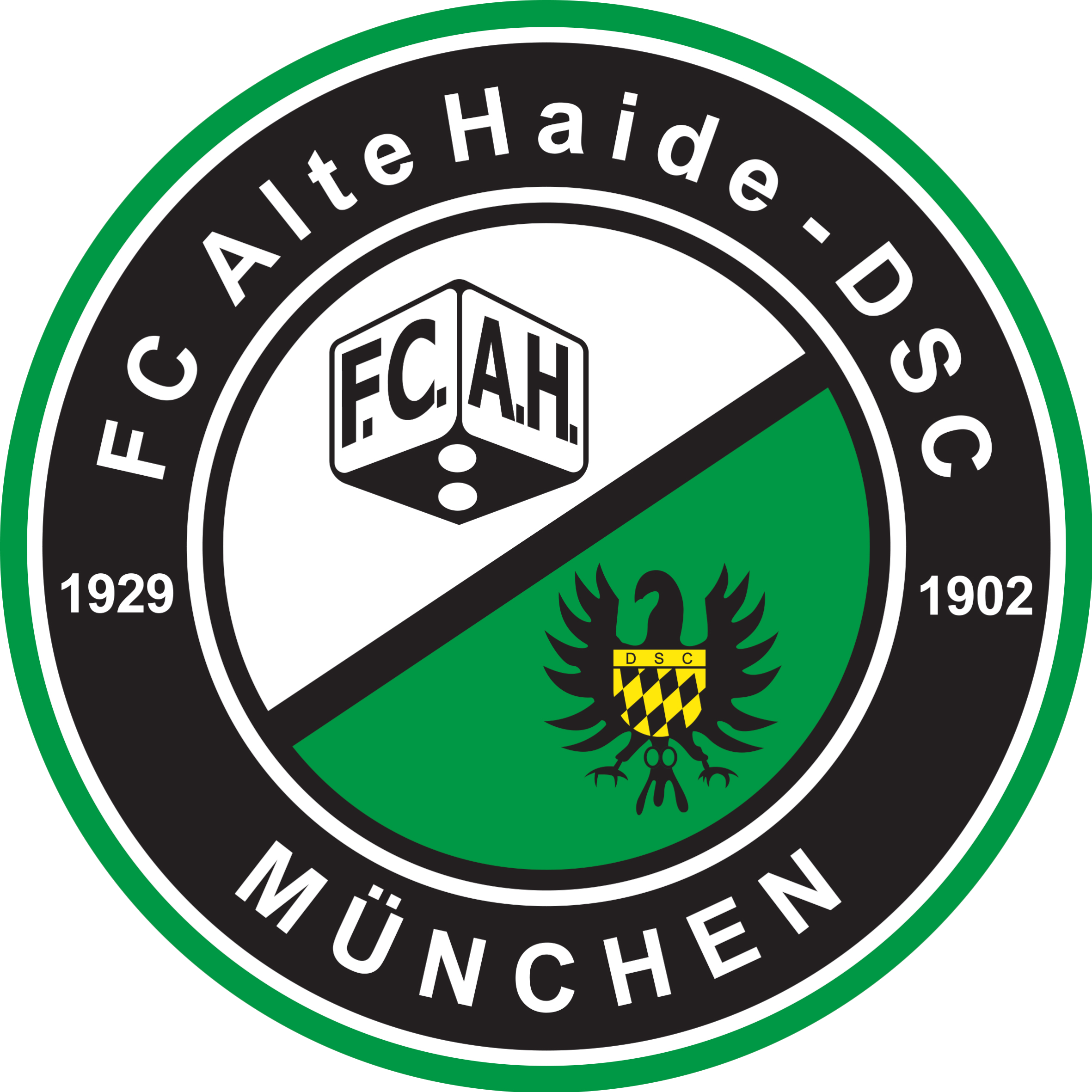 FC Alte Haide - DSC München